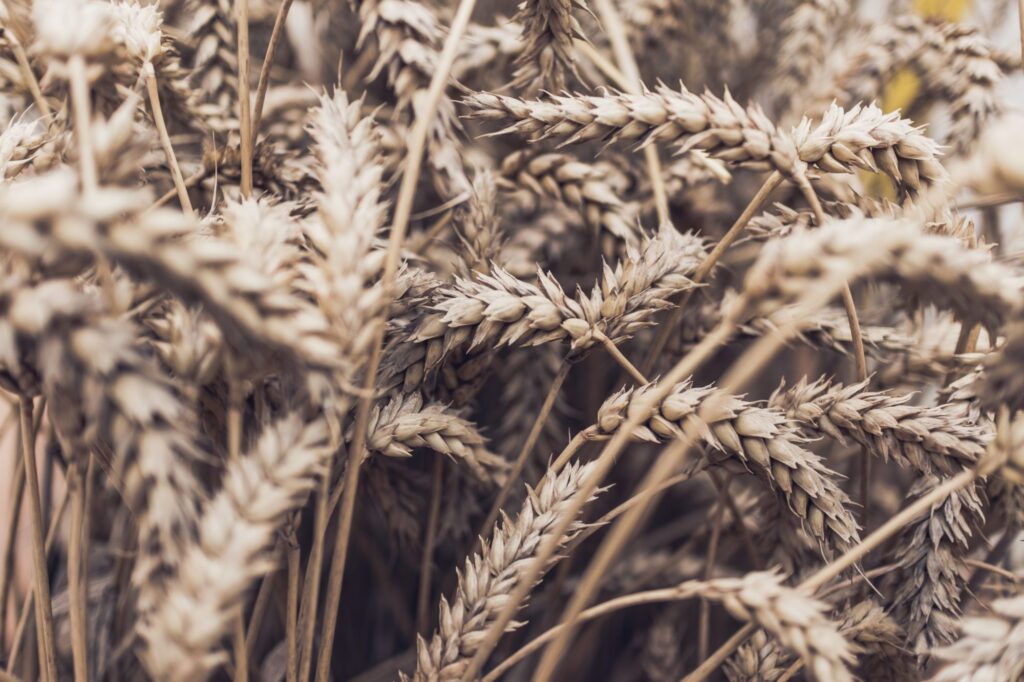 Smith & Hersey Agribusiness Law LLP